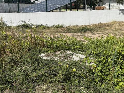 Terreno para Construção - Oliveira do Hospital