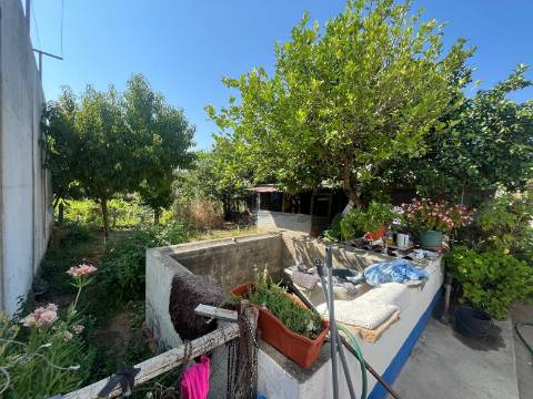 Moradia típica T2 com Quintal, São Mateus, Montemor-o-Novo