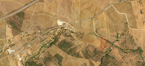 Vinha de Sequeiro Em Borba - Exclusividade no Coração do Alentejo