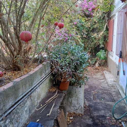 Moradia para remodelar com 8 divisões, 2 anexos e quintal, Castro Verde