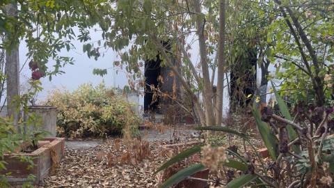 Moradia para remodelar com 8 divisões, 2 anexos e quintal, Castro Verde