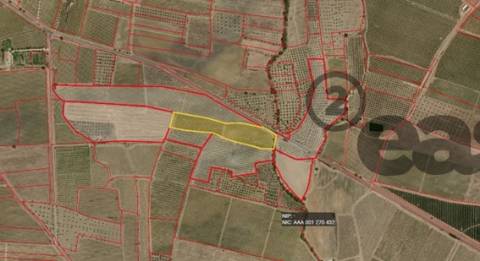 VINHA COM 1,87 HECTARES NA VIDIGUEIRA PARA VENDA