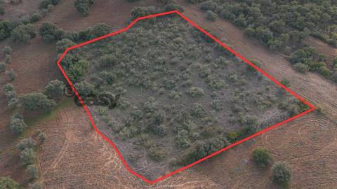 Terreno Rústico em Vila De Frades