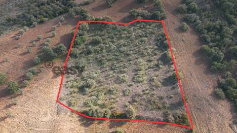 Terreno Rústico em Vila De Frades