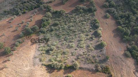 Terreno Rústico em Vila De Frades