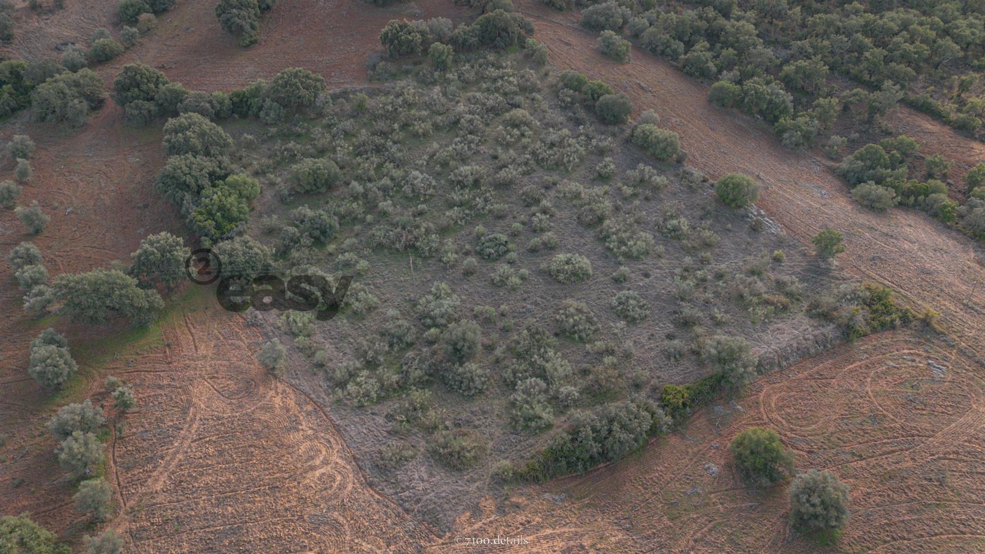 Terreno Rústico em Vila De Frades
