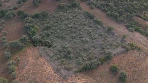 Terreno Rústico em Vila De Frades