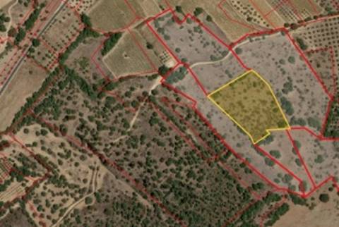 Terreno Rústico em Vila De Frades