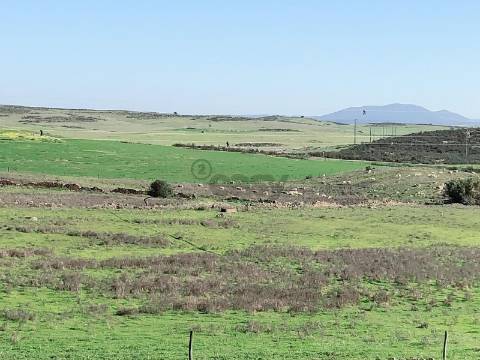 Moradia com 9 divisões para remodelar, Alcaria do Coelho, São Marcos da Ataboeira