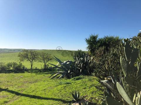 Moradia com 9 divisões para remodelar, Alcaria do Coelho, São Marcos da Ataboeira