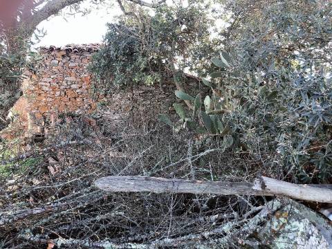 Moradia com 9 divisões para remodelar, Alcaria do Coelho, São Marcos da Ataboeira