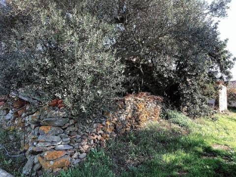 Moradia com 9 divisões para remodelar, Alcaria do Coelho, São Marcos da Ataboeira