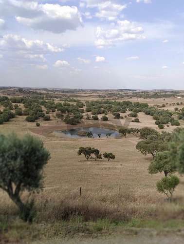 Moradia com 9 divisões para remodelar, Alcaria do Coelho