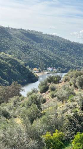 Moradia T4+1 com 9 Divisões em Alvisquer, Belver, Gavião – Habitável e com Potencial