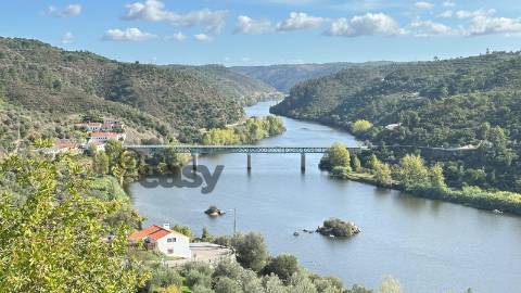 Moradia T4+1 com 9 Divisões em Alvisquer, Belver, Gavião – Habitável e com Potencial