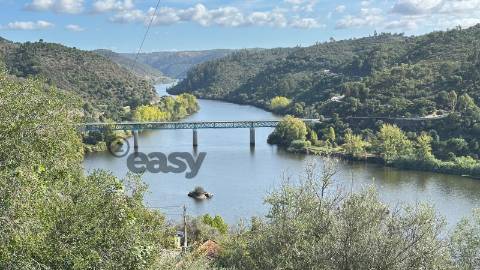 Moradia T4+1 com 9 Divisões em Alvisquer, Belver, Gavião – Habitável e com Potencial