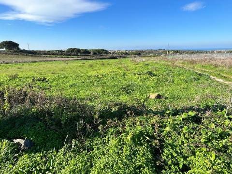 Terreno Rústico  Arrendamento em São João das Lampas e Terrugem,Sintra