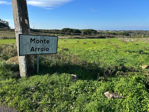 Terreno Rústico  Arrendamento em São João das Lampas e Terrugem,Sintra