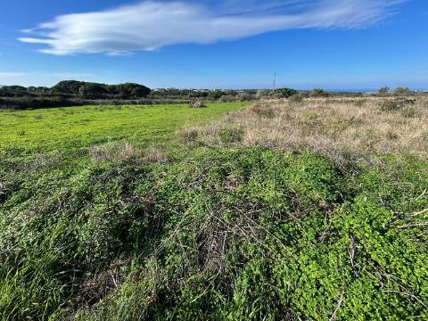 Terreno Rústico  Arrendamento em São João das Lampas e Terrugem,Sintra
