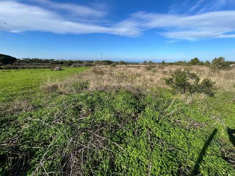 Terreno Rústico  Arrendamento em São João das Lampas e Terrugem,Sintra