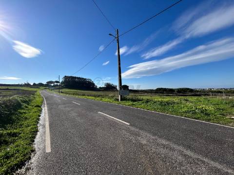 Terreno Rústico  Arrendamento em São João das Lampas e Terrugem,Sintra