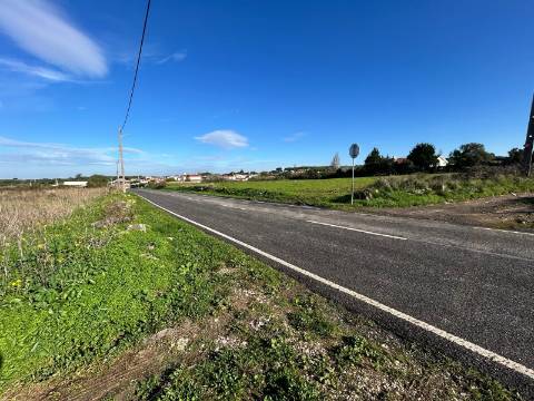 Terreno Rústico  Arrendamento em São João das Lampas e Terrugem,Sintra