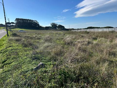 Terreno Rústico  Arrendamento em São João das Lampas e Terrugem,Sintra