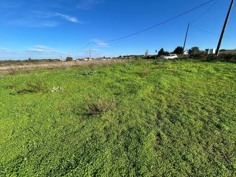 Terreno Rústico  Arrendamento em São João das Lampas e Terrugem,Sintra