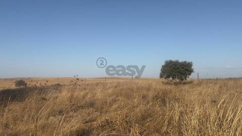 Terreno rústico com 4.5ha, Casével, Castro Verde