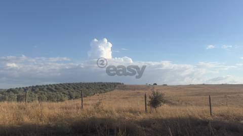 Terreno rústico com 4.5ha, Casével, Castro Verde