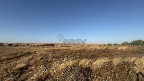 Terreno rústico com 4.5ha, Casével, Castro Verde