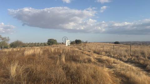 Terreno rústico com 4.5ha, Casével, Castro Verde