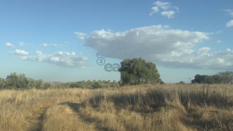 Terreno rústico com 4.5ha, Casével, Castro Verde