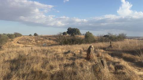 Terreno rústico com 4.5ha, Casével, Castro Verde