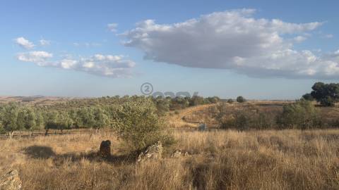 Terreno rústico com 4.5ha, Casével, Castro Verde