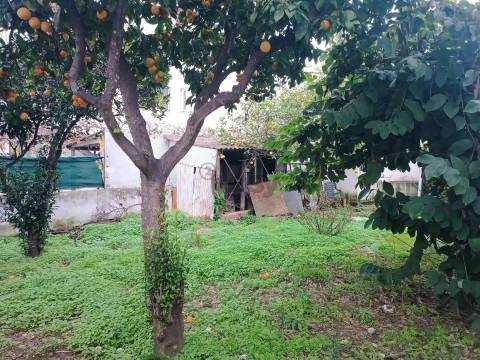 Terreno Urbano de 270m2 com Viabilidade de Construção de 162m2, Vila Chã, Barreiro