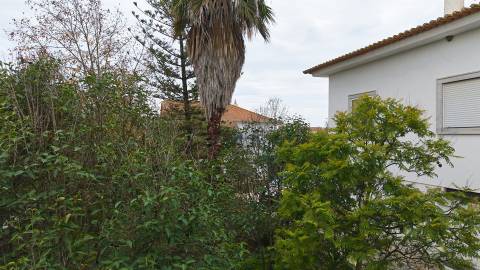 Moradia Senhorial com 16 divisões com Arrumos e Jardim, centro