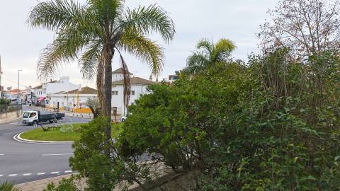 Moradia Senhorial com 16 divisões com Arrumos e Jardim, centro