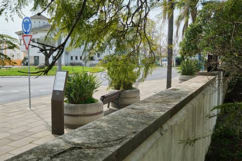 Moradia Senhorial com 16 divisões com Arrumos e Jardim, centro