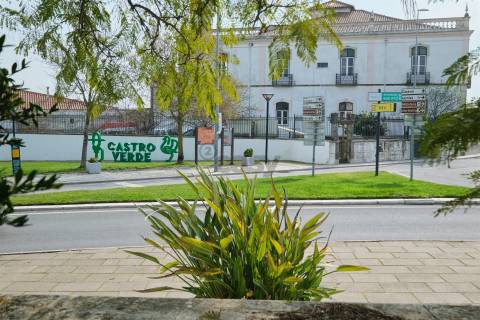 Moradia Senhorial com 16 divisões com Arrumos e Jardim, centro