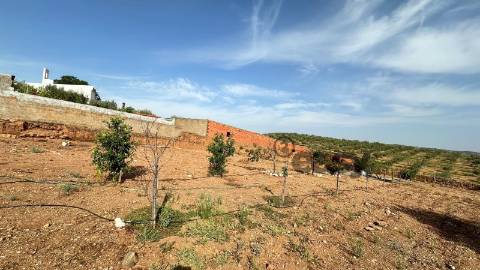 Moradia T2 para restaurar com amplo terreno em Marmelar - Vidigueira