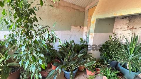 Moradia T2 para restaurar com amplo terreno em Marmelar - Vidigueira