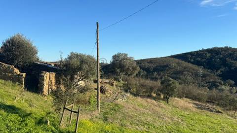 2 Moradias para recuperar em Terreno com 12000m2-Santana da Serra