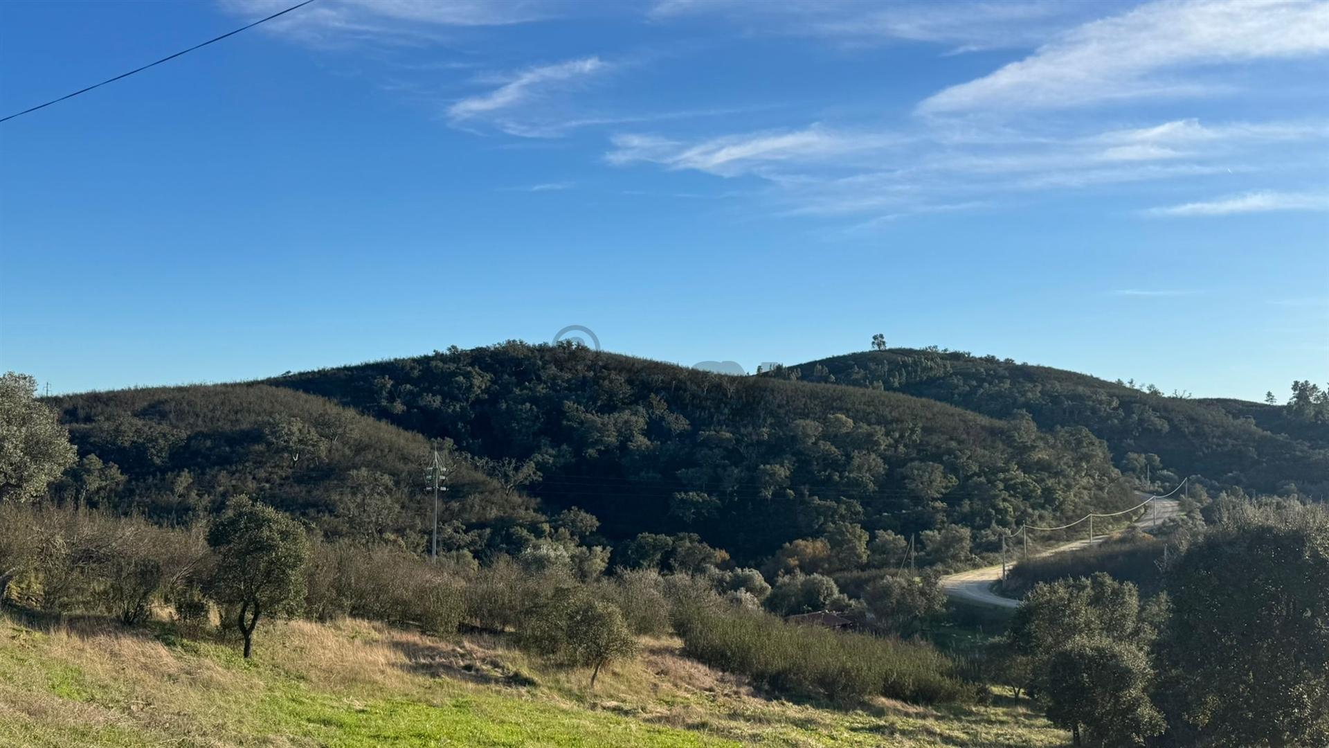 2 Moradias para recuperar em Terreno com 12000m2-Santana da Serra