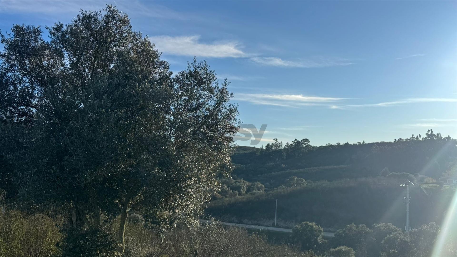 2 Moradias para recuperar em Terreno com 12000m2-Santana da Serra