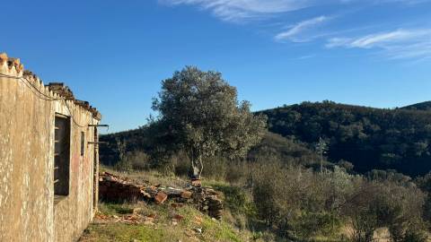 2 Moradias para recuperar em Terreno com 12000m2-Santana da Serra