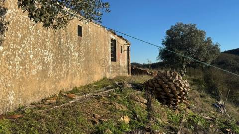 2 Moradias para recuperar em Terreno com 12000m2-Santana da Serra