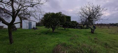 Moradia T3,  para Venda, em Taipadas - Canha