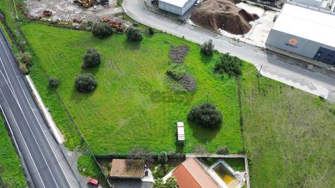 Terreno rústico com 5.980 m² junto ao Parque de Empresas de Ferreira do Alentejo