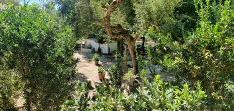 Lote de Terreno  Venda em Barcarena,Oeiras